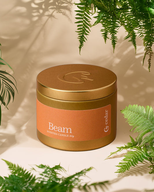 Cedar Beam Travel Tin Candle
